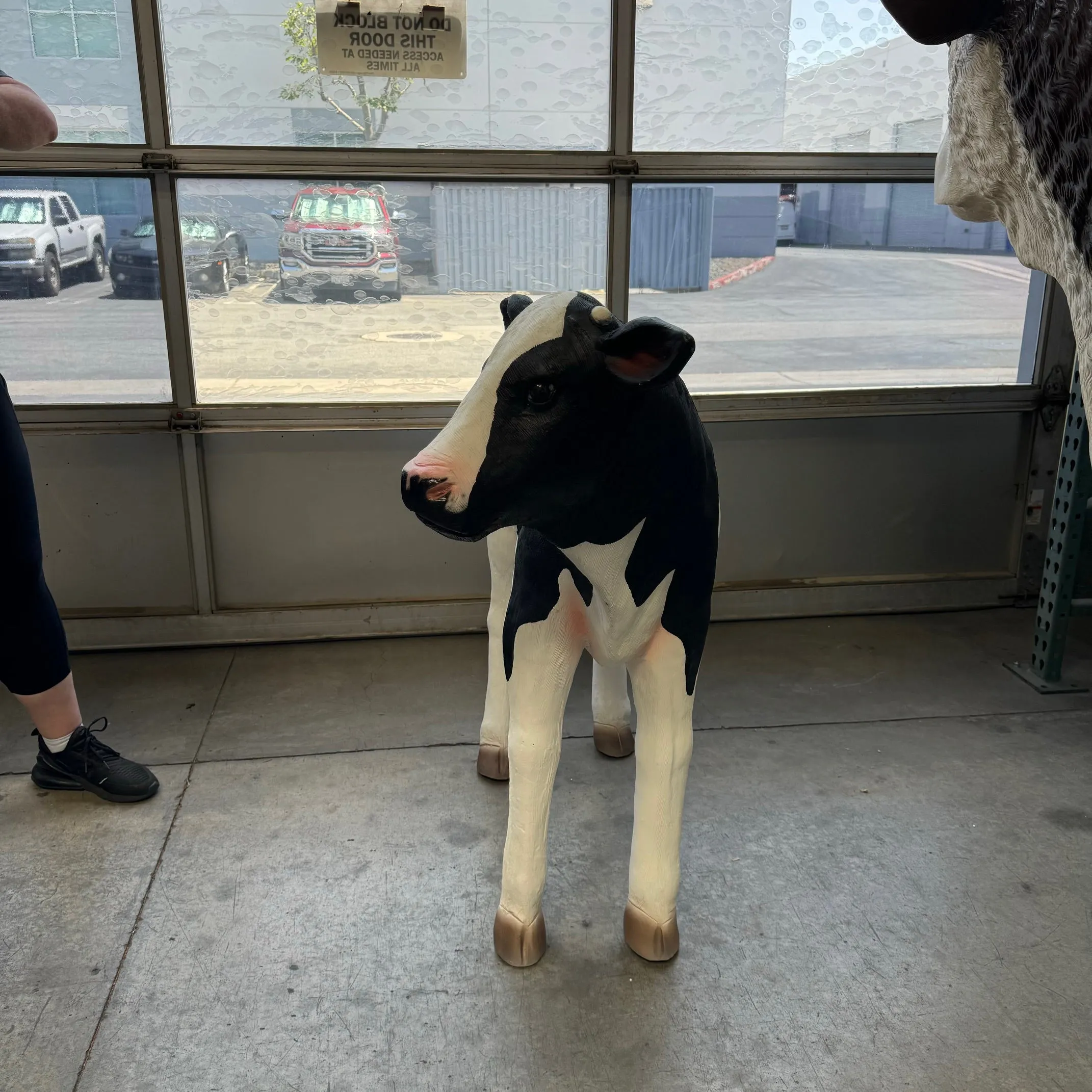 Baby Calf Life Size Statue