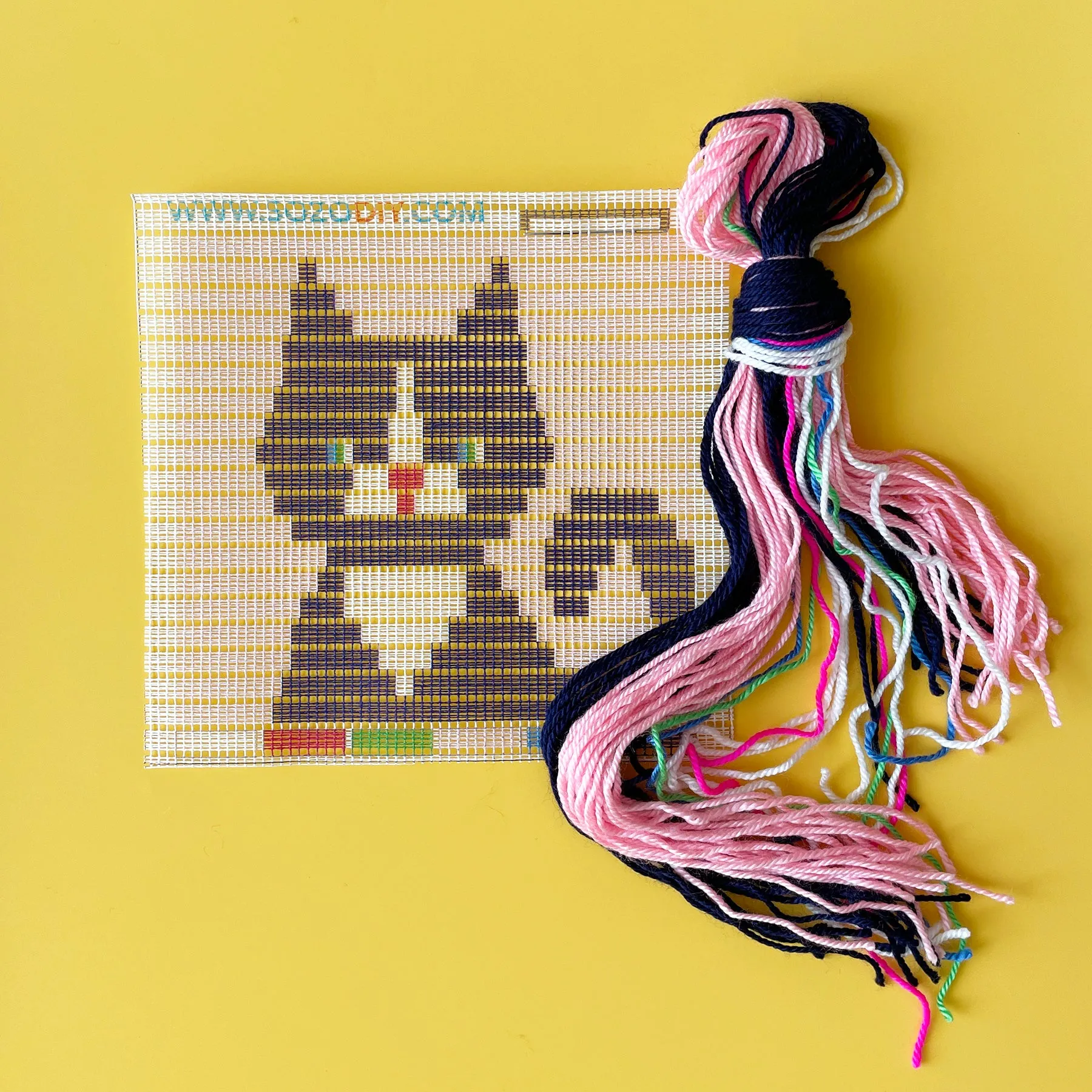 Black Cat Needlepoint Kit