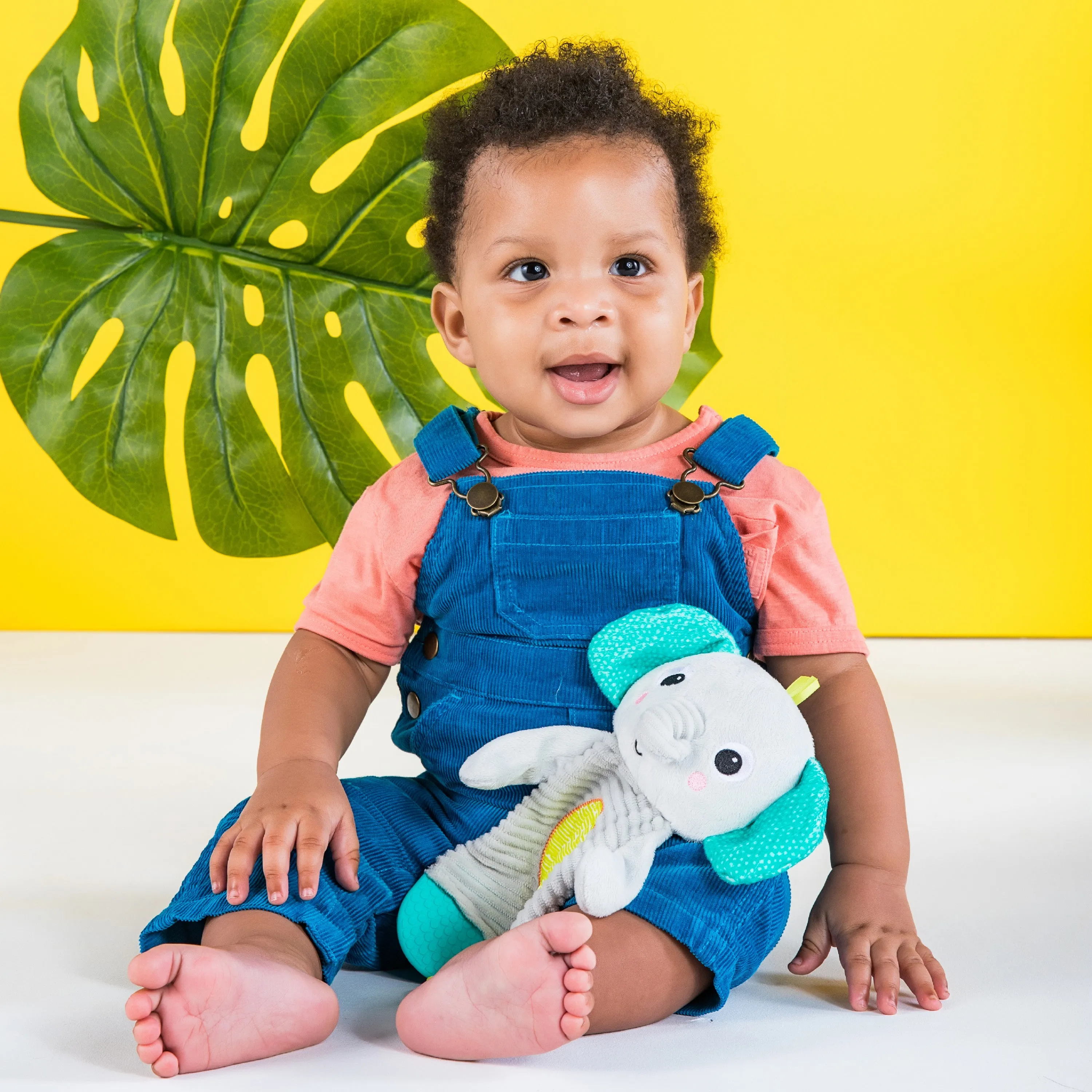 Bright Starts Snuggle & Teethe Plush Teether, Elephant