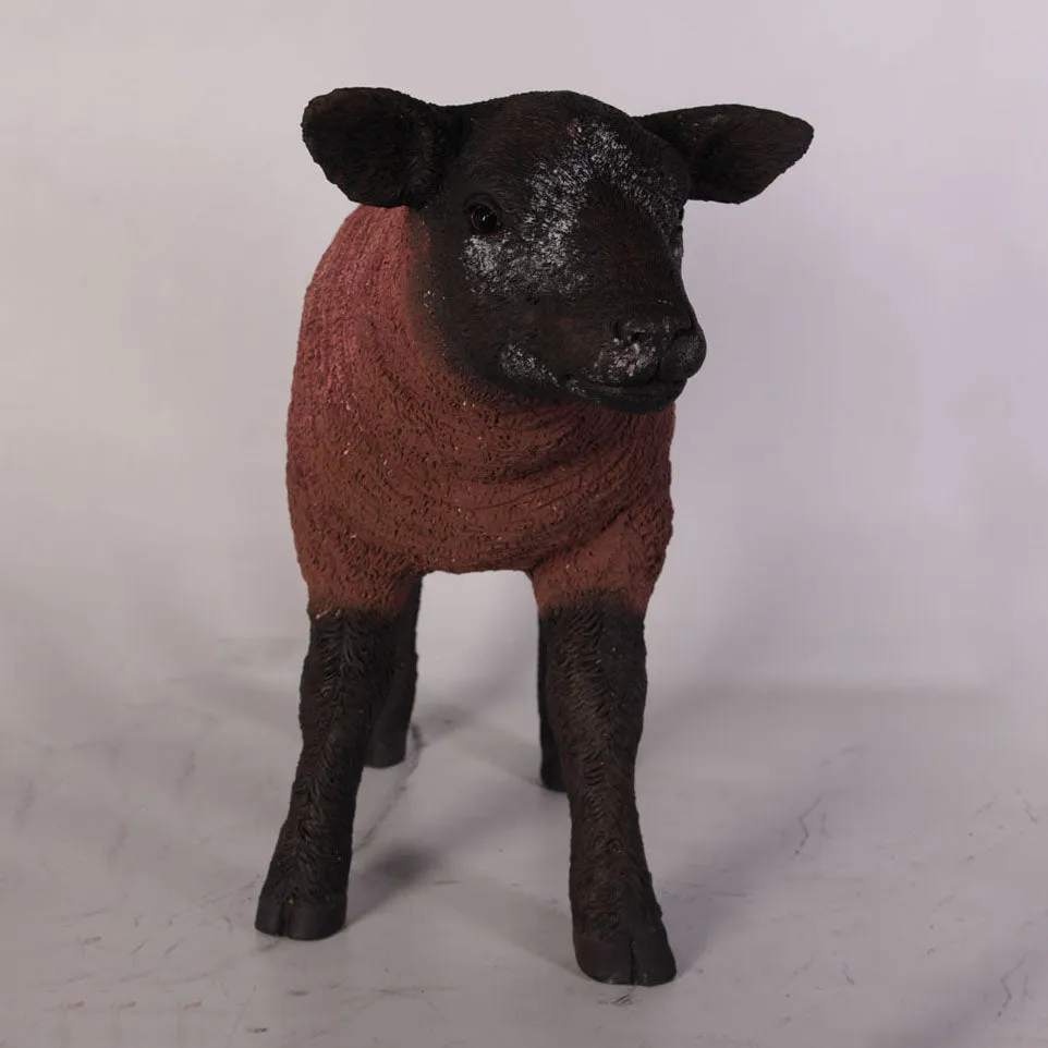 Brown Baby Texelaar Lamb Life Size Statue