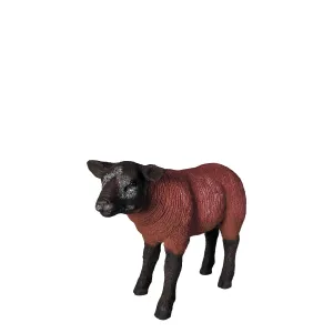 Brown Baby Texelaar Lamb Life Size Statue