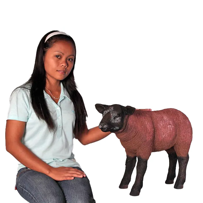 Brown Baby Texelaar Lamb Life Size Statue