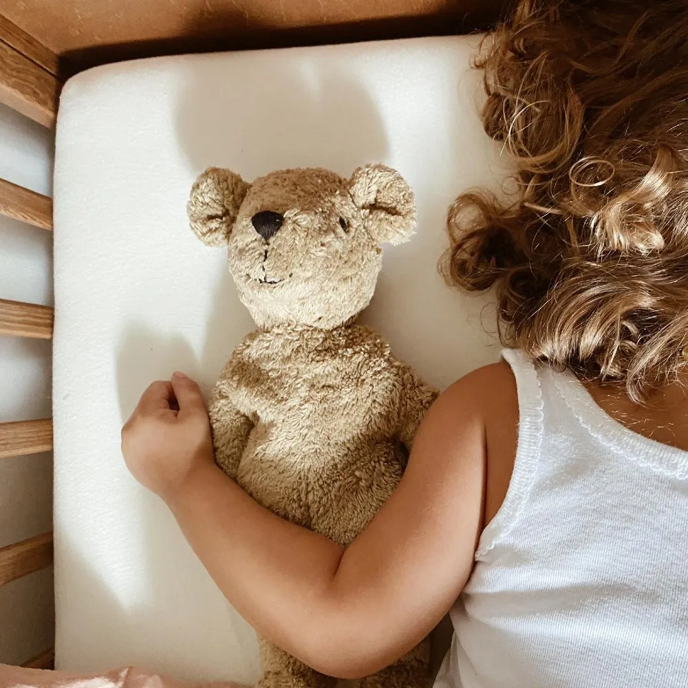 Cuddly teddy bear - Organic cotton & lambswool - Beige