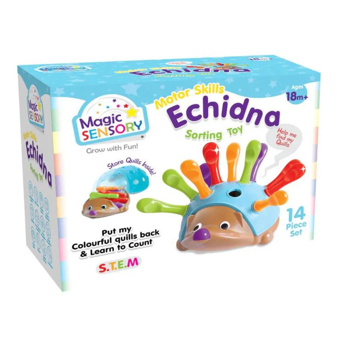 Fine Motor Skills Echidna Sorting Toy