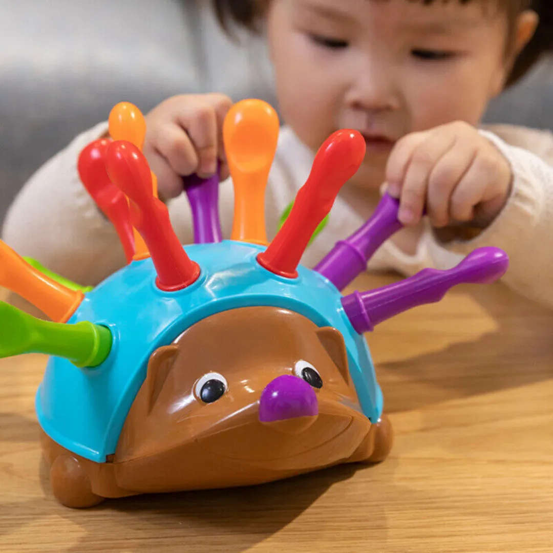 Fine Motor Skills Echidna Sorting Toy