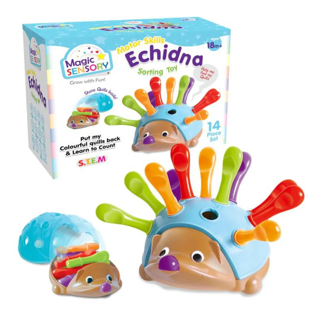 Fine Motor Skills Echidna Sorting Toy