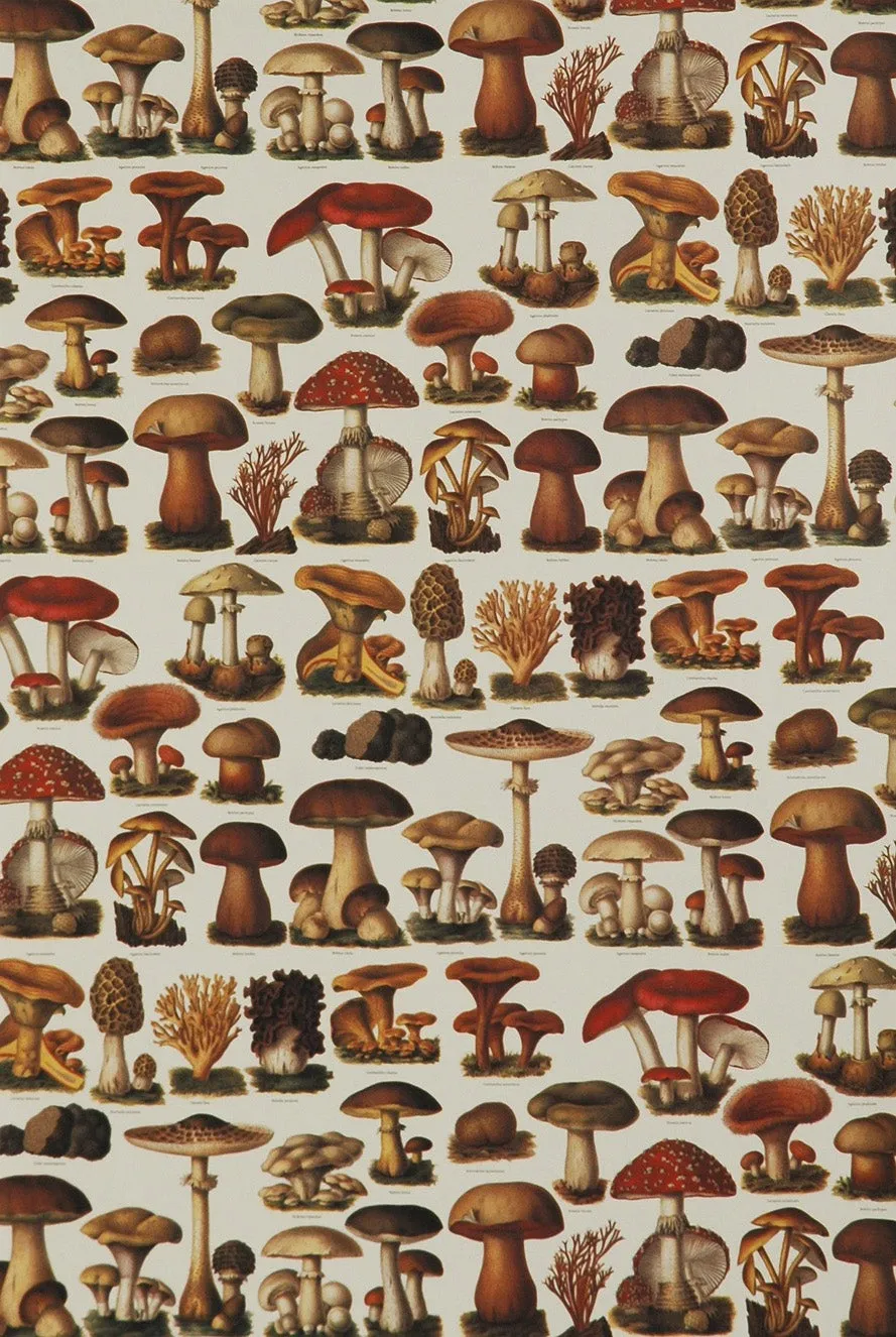 Florentine Print Mushrooms & Sponges