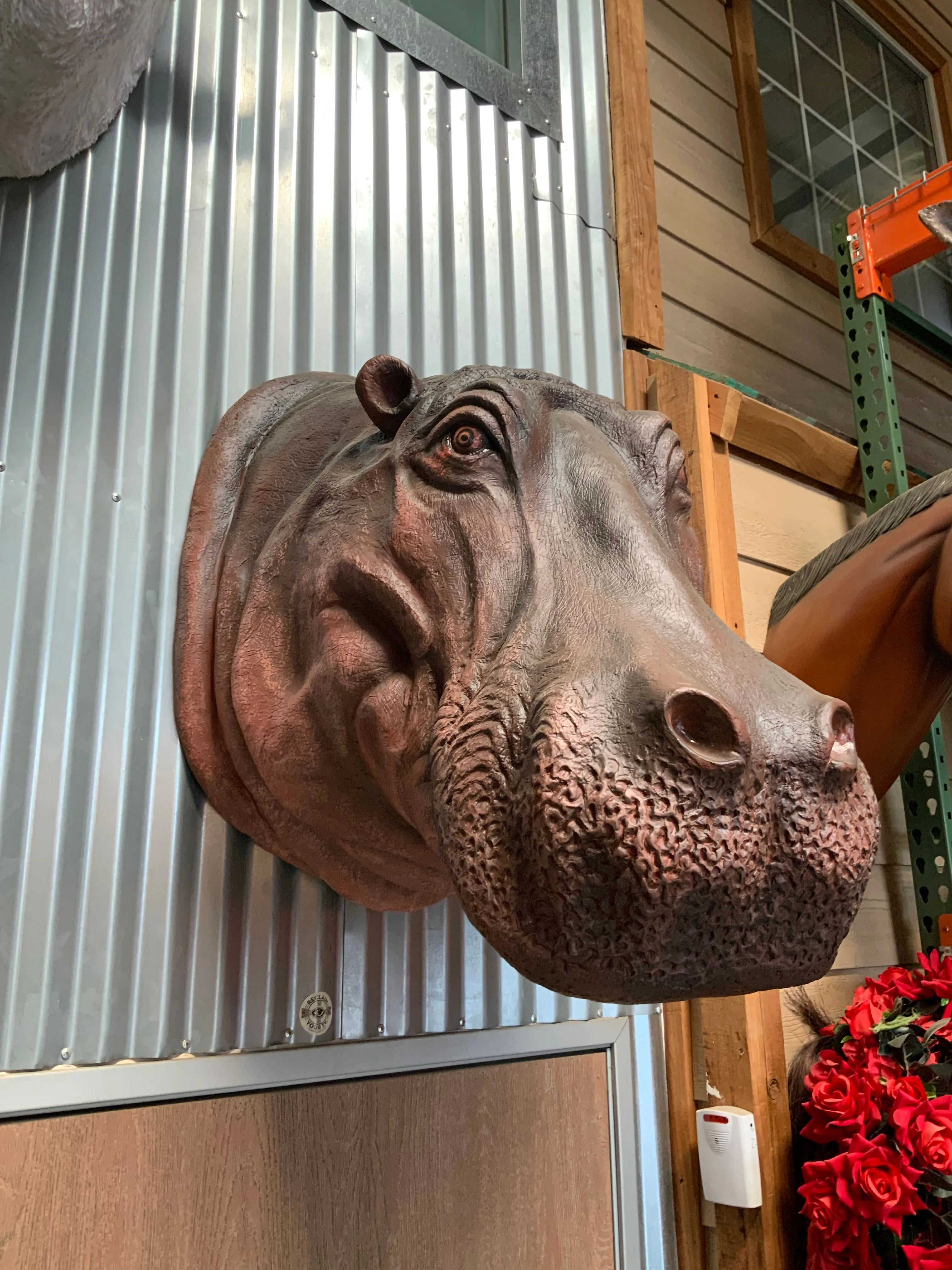 Hippo Head Life Size Statue