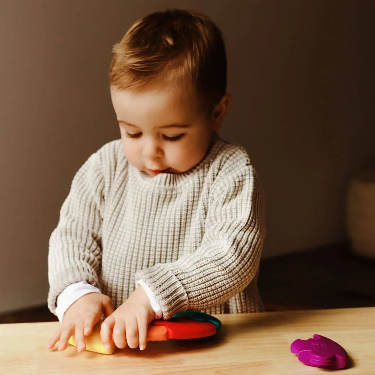 Jellystone Designs Colour Wheel Teether and Toy - Bright