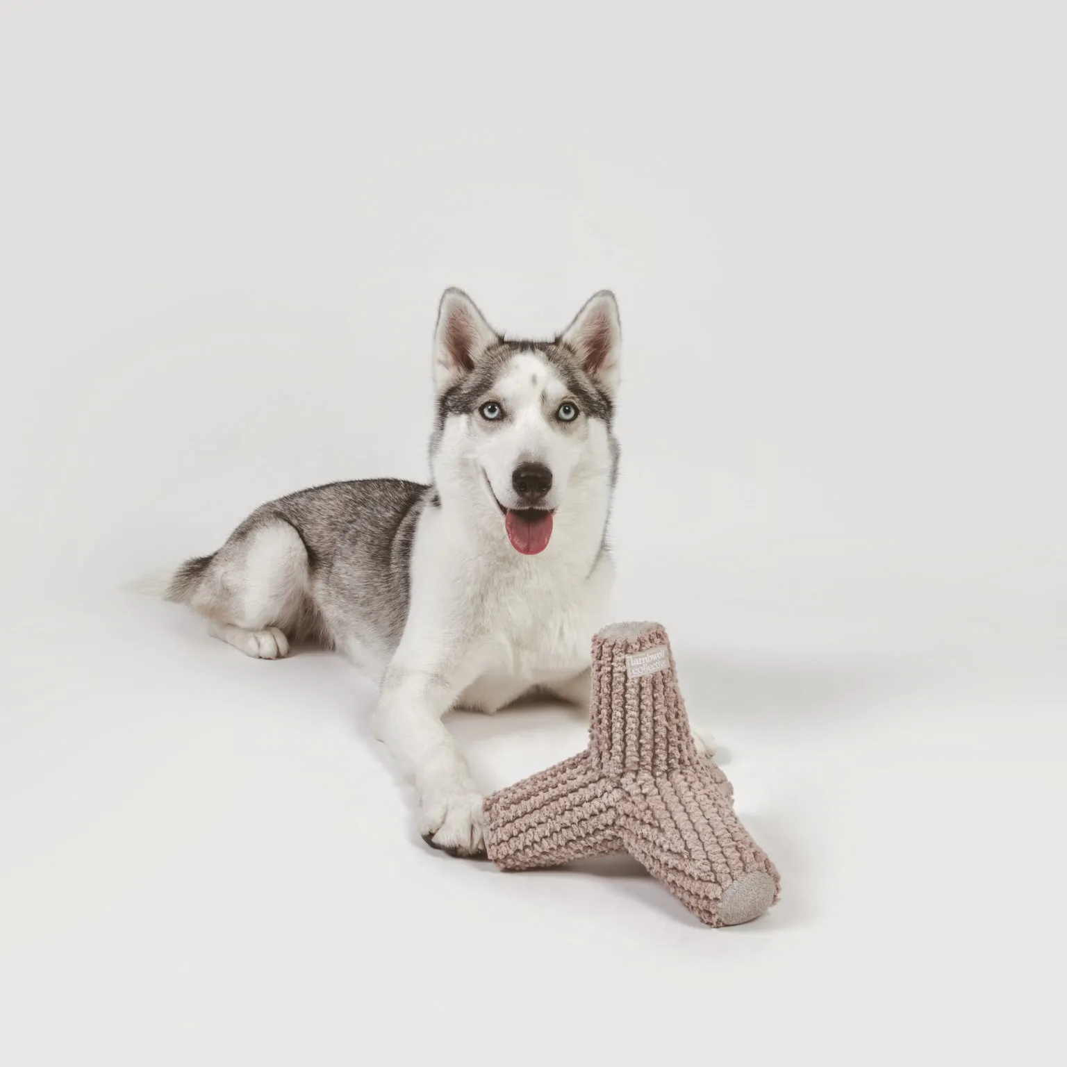 Lambwolf Collective - Breuer with Squeakers & Crinkles Dog Toy - Taupe/Beige