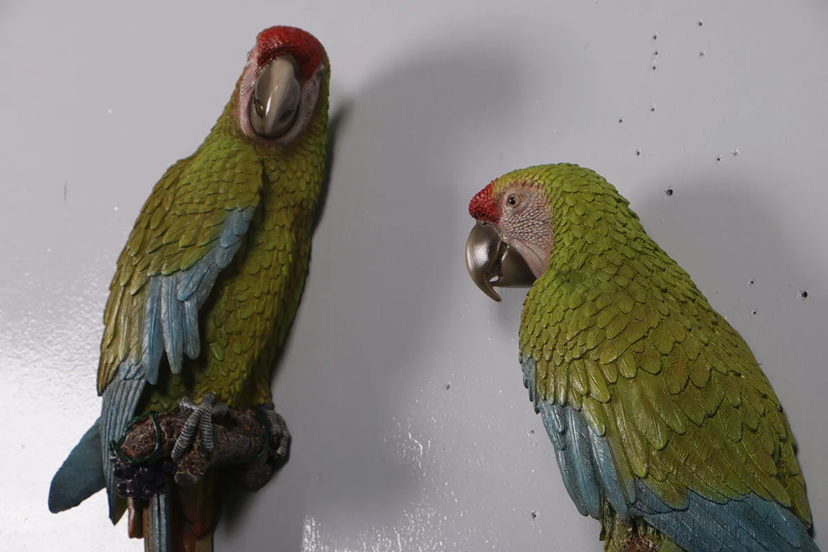 Macaw Buffon Lover Parrots Life Size Statue