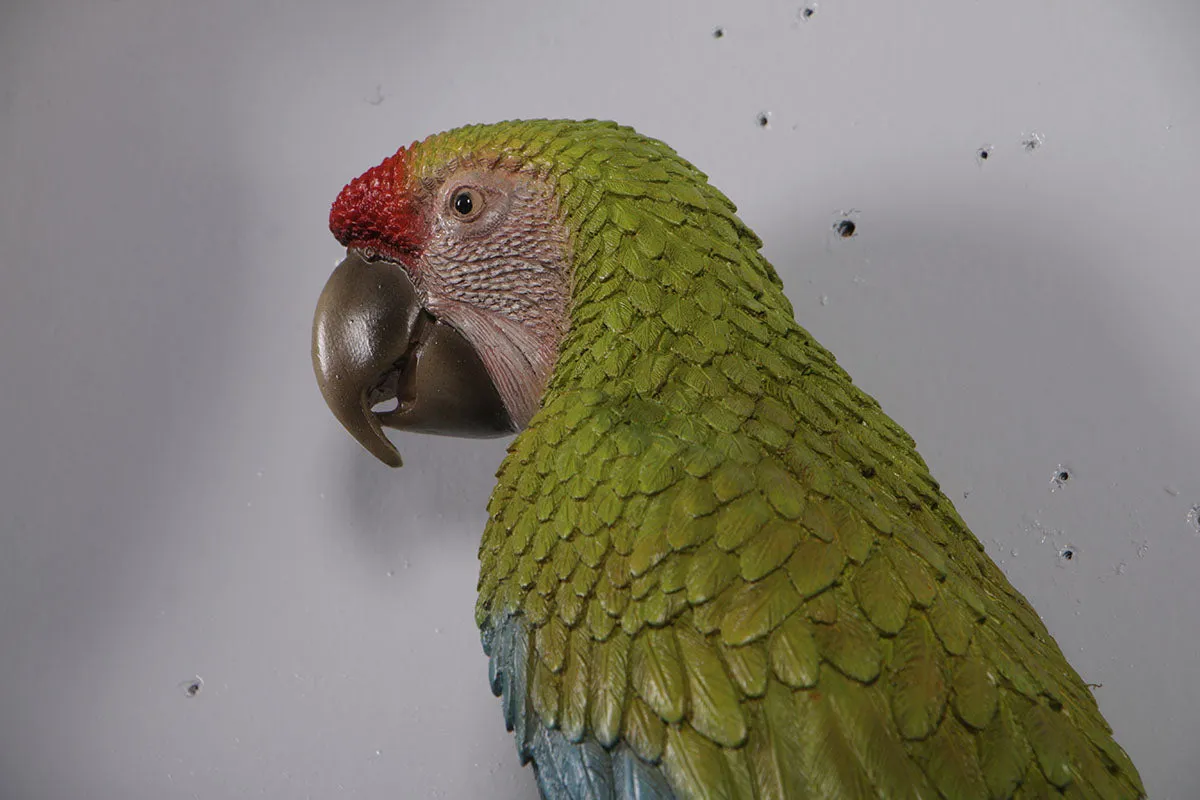 Macaw Buffon Lover Parrots Life Size Statue